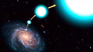Photo of The fastest stars in the galaxy