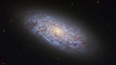 Photo of Gravity and dark matter, a bond beyond distances