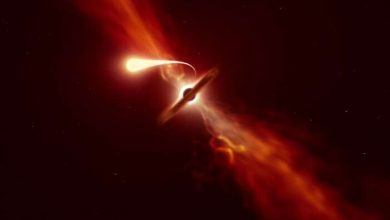 Photo of Astronomers witness energetic switch on of black hole