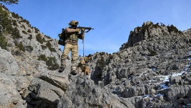 Photo of Turkish Intelligence ‘neutralises’ PKK’s Iraq ‘intelligence head’