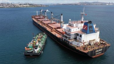 Photo of Turkish National Defense Ministry: Contacts continue for extension of Black Sea grain deal