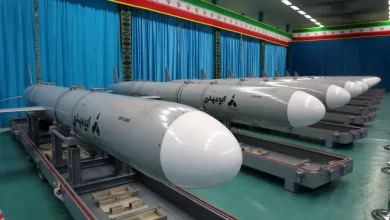 Photo of Report: Iran Claims Possession of AI-Guided Cruise Missile