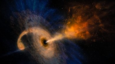 Photo of Webb Telescope detects most distant active supermassive black hole