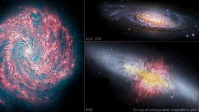 Photo of Revealing the invisible: Detecting variations in extragalactic magnetic fields