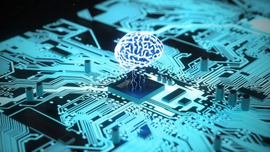 Photo of Report: New AI chip that uses human brain tissue just got military funding