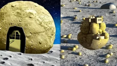 Photo of First settlers on the Moon and Mars could build their houses out of potatoes and salt