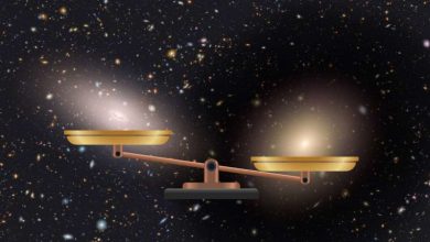Photo of The puzzle of the galaxy with no dark matter