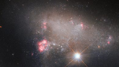 Photo of Hubble images a starstruck galaxy