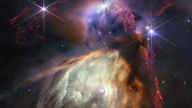Photo of Cosmic spectacle: Webb telescope marks first year with photos of baby stars