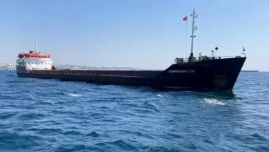 Photo of Türkiye working for Russia’s return to grain deal negotiations
