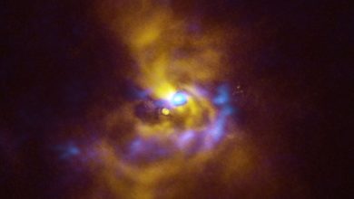 Photo of New image reveals secrets of planet birth