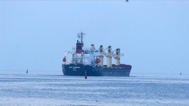 Photo of Ukraine says Turkish President Erdogan can bring Black Sea grain deal ‘back on track’