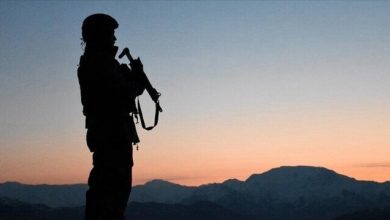 Photo of Turkish security forces ‘neutralize’ over 1,100 terrorists so far this year