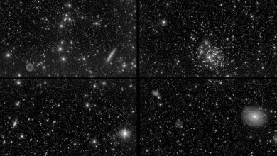 Photo of First test images from Euclid space telescope unveiled