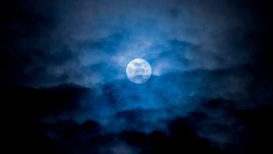 Photo of Rare blue supermoon brightens the night sky this week in the closest full moon of the year