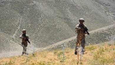 Photo of Turkish security forces ‘neutralised’ 942 terrorists since January 1