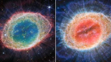 Photo of Webb reveals intricate details in the remains of a dying star