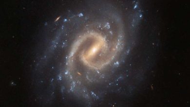 Photo of Hubble captures spiral galaxy UGC 12295