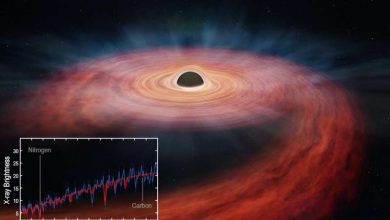 Photo of A giant black hole destroys a massive star