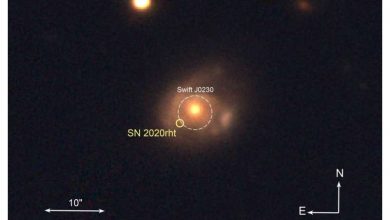 Photo of Ravenous black hole consumes three Earths’-worth of star every time it passes