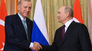 Photo of Erdoğan-Putin meeting ensures free grain deal to African nations