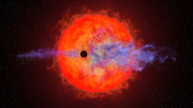 Photo of A planet’s atmosphere is blasted away by a star and Hubble captures it