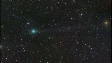 Photo of Newly discovered comet visible in night sky this weekend