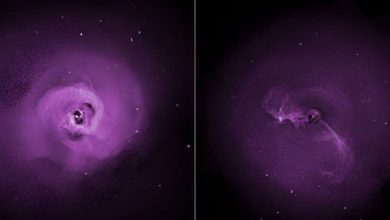 Photo of XRISM satellite launches to study the universe in different colors of X-rays