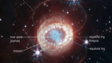 Photo of Webb reveals new structures within iconic supernova