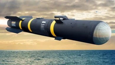 Photo of US OKs $1.6B Tri-Nation Missile Sales to UK, Finland, Lithuania
