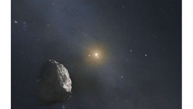 Photo of Plot thickens in the hunt for a ninth planet