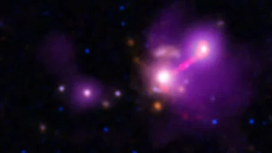 Photo of NASA scientists discover a novel galactic ‘fossil’