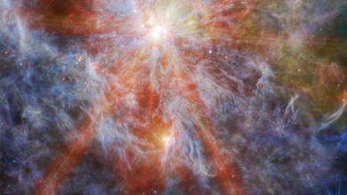 Photo of Webb Telescope captures massive star-forming complex