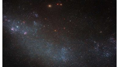 Photo of Hubble spots a galaxy shrouded by stars