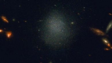 Photo of Team of astronomers discovers galaxy that shouldn’t exist
