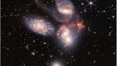 Photo of Bright galaxies put dark matter to the test