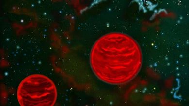 Photo of Astronomers discover Jupiter-sized objects drawn into each other’s orbit