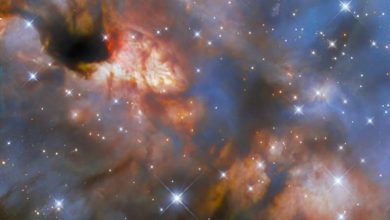 Photo of Hubble views a massive star forming
