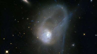 Photo of What makes black holes grow and new stars form?