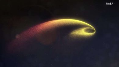 Photo of Star ripped apart by black hole in rare discovery