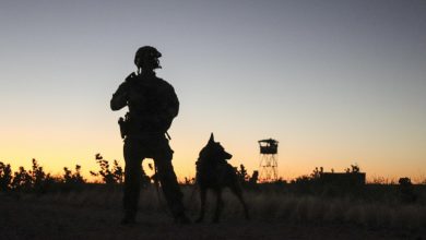Photo of Niger says US to submit plan to ‘Disengage’ troops
