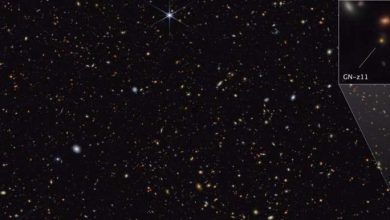 Photo of Webb unlocks secrets of primeval galaxy