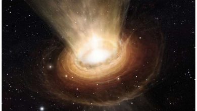 Photo of James Webb Space Telescope captures the end of planet formation