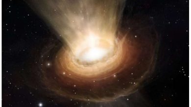 Photo of In a distant stellar system, the JWST sees the end of planet formation