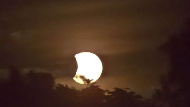 Photo of The next total solar eclipse is in April: Here’s what to know and where to see it