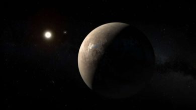 Photo of A new deep-learning algorithm can find Earth 2.0