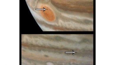 Photo of New photos show Jupiter’s tiny moon Amalthea