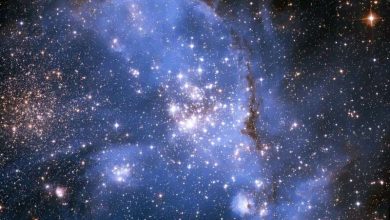 Photo of First detection of magnetic massive stars outside our galaxy