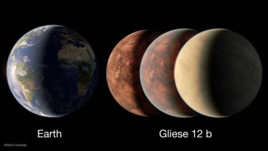 Photo of TESS finds intriguing world sized between Earth and Venus