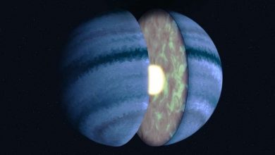 Photo of Webb Telescope offers first glimpse of an exoplanet’s interior